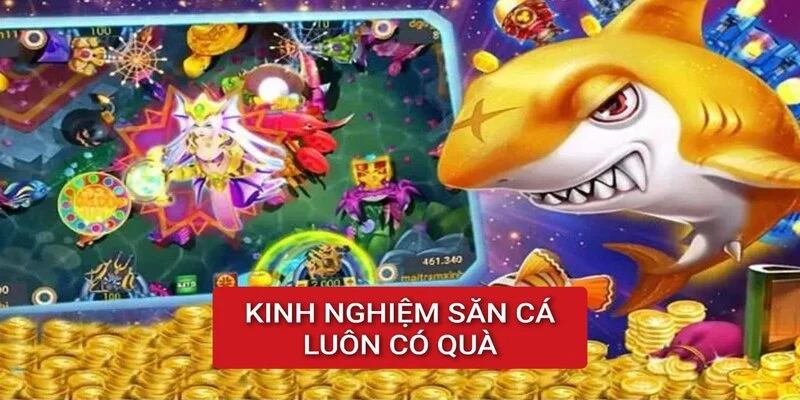 kinh-nghiem-san-ca-luon-co-thuong